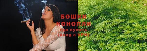 мдпв Вязьма