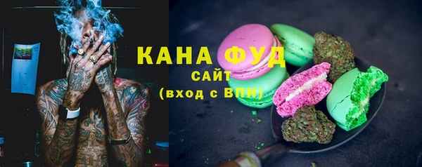 гашик Алапаевск