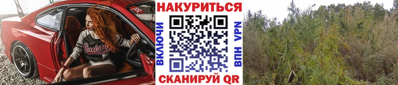 KRAKEN ссылка  Омутнинск  Бошки Шишки сатива 
